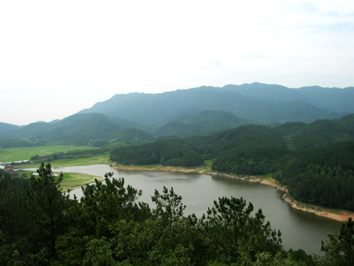 新奥门宝典